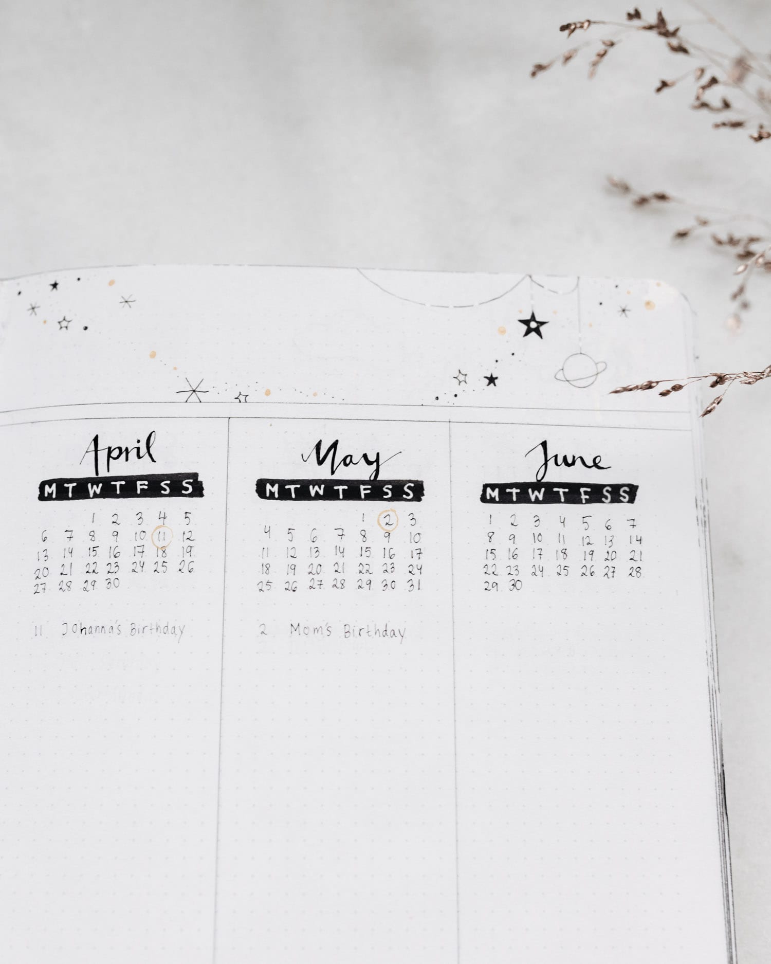 How to Start a Bullet Journal in 8 Easy Steps • ADARAS Blogazine