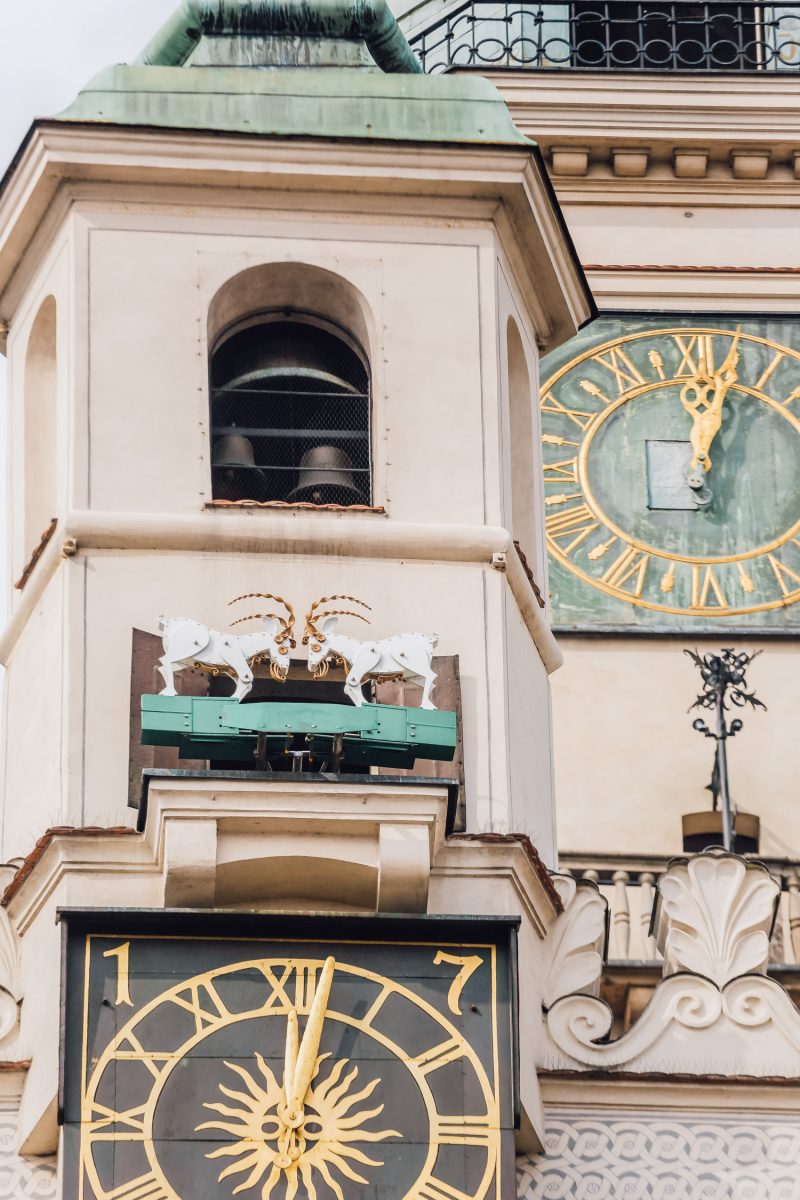 The head-butting billy goats display at noon on Poznań Town Hall.