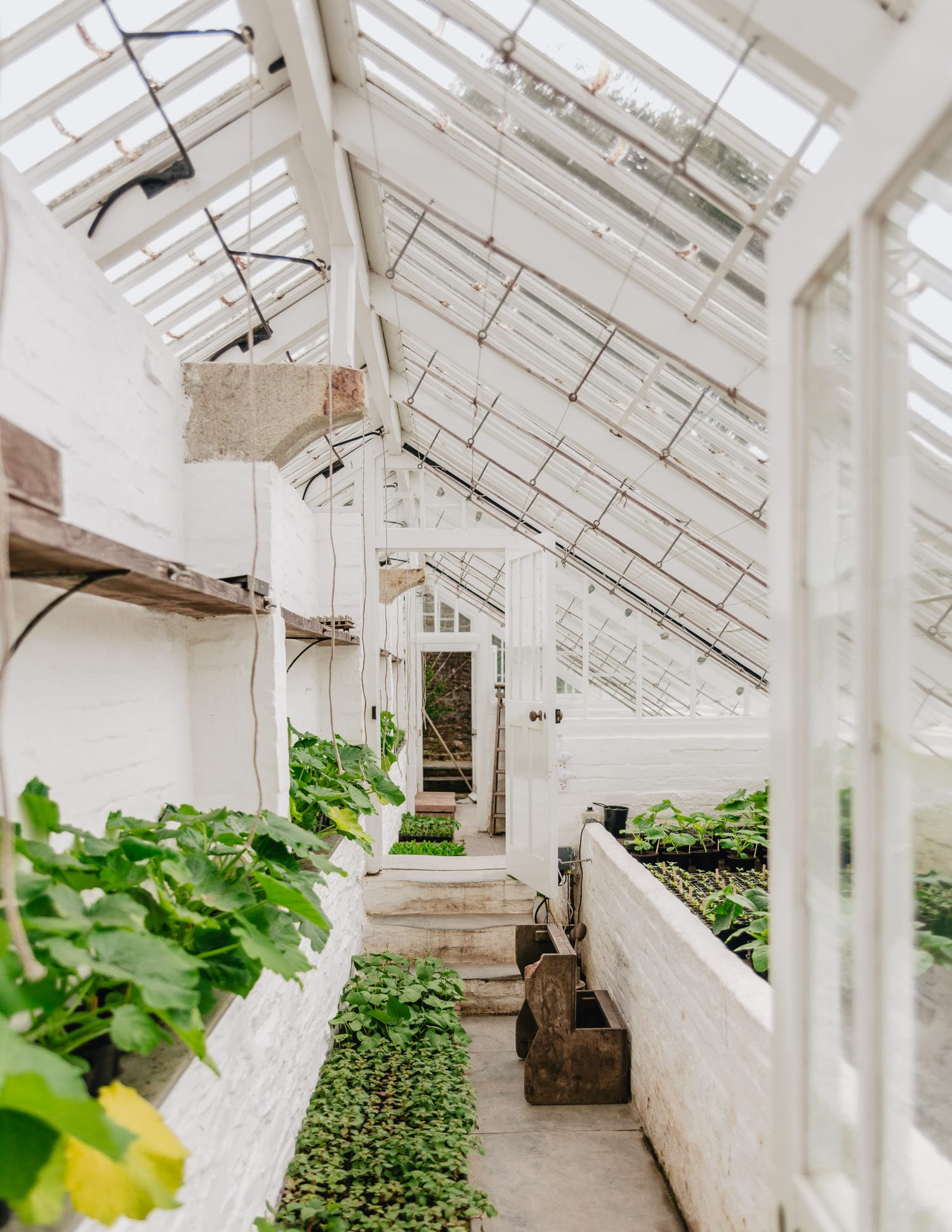 Greenhouse in The Lost Gardens of Heligan, Cornwall, UK