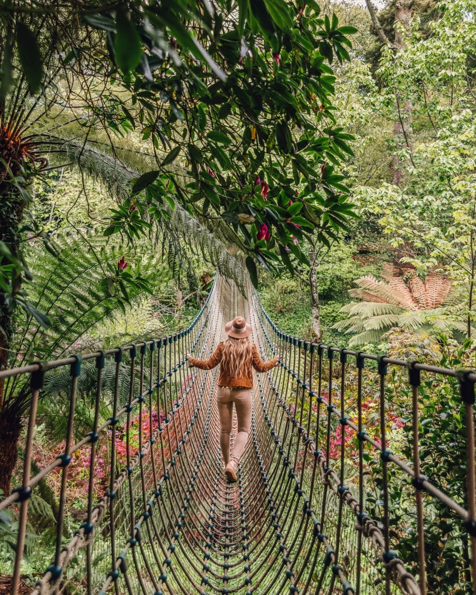 The Burma Rope Bridge, The Lost Gardens of Heligan | Cornwall, UK