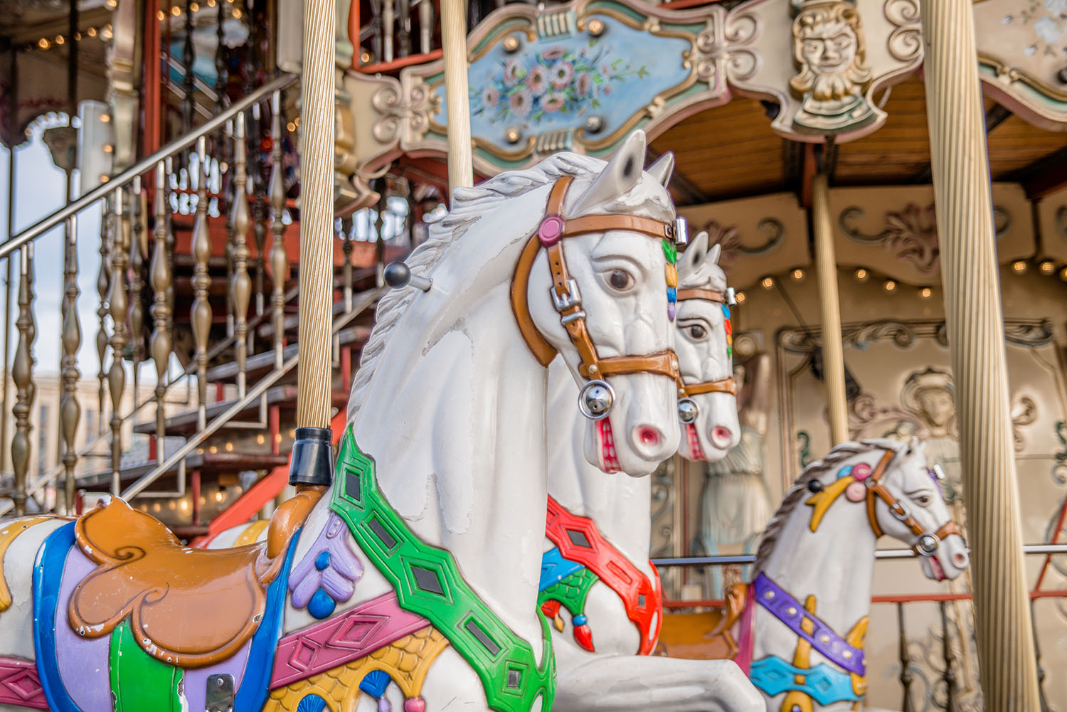 Close-up photo of Carousel Horse