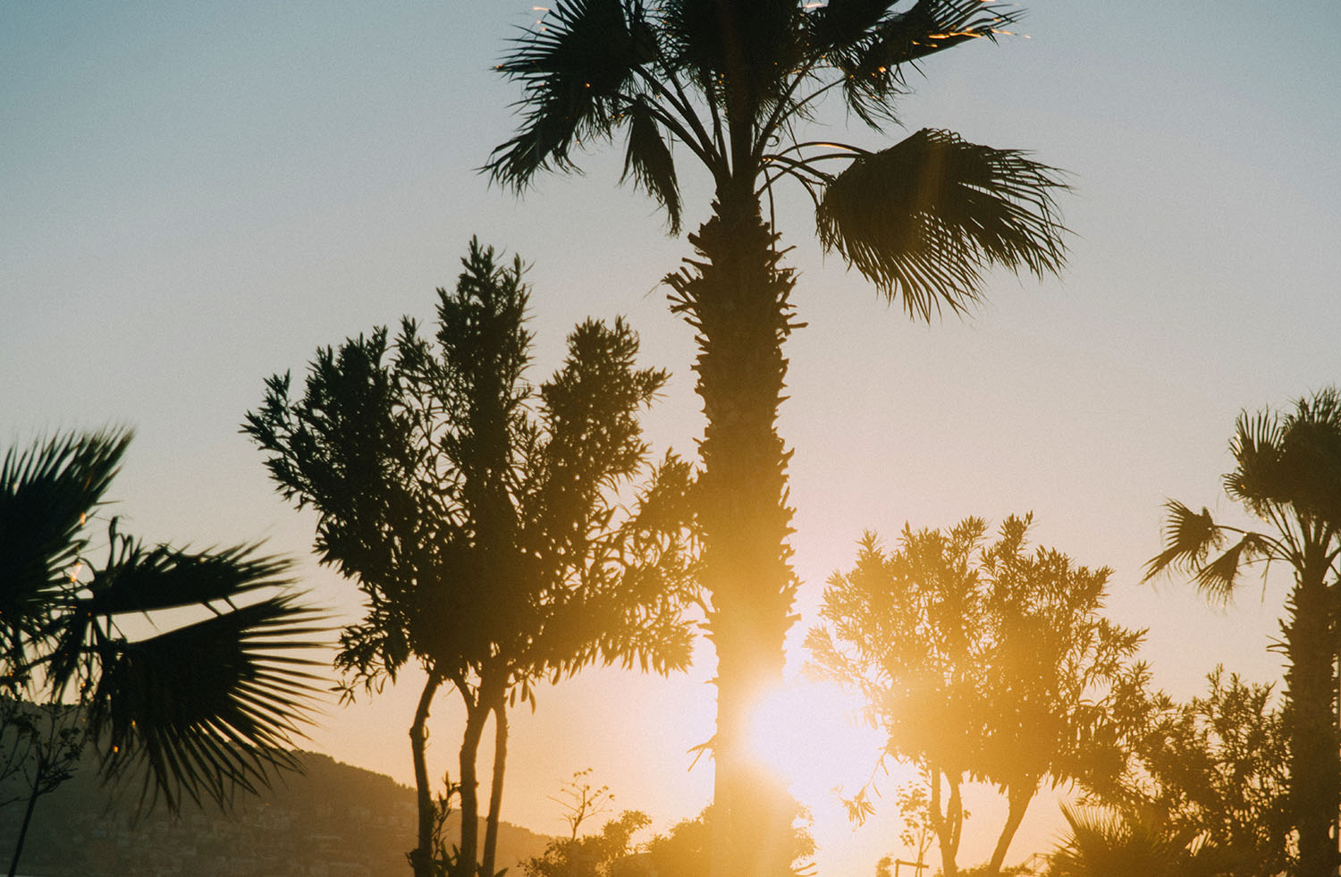 Palm trees against sunset in Alanya, Turkey