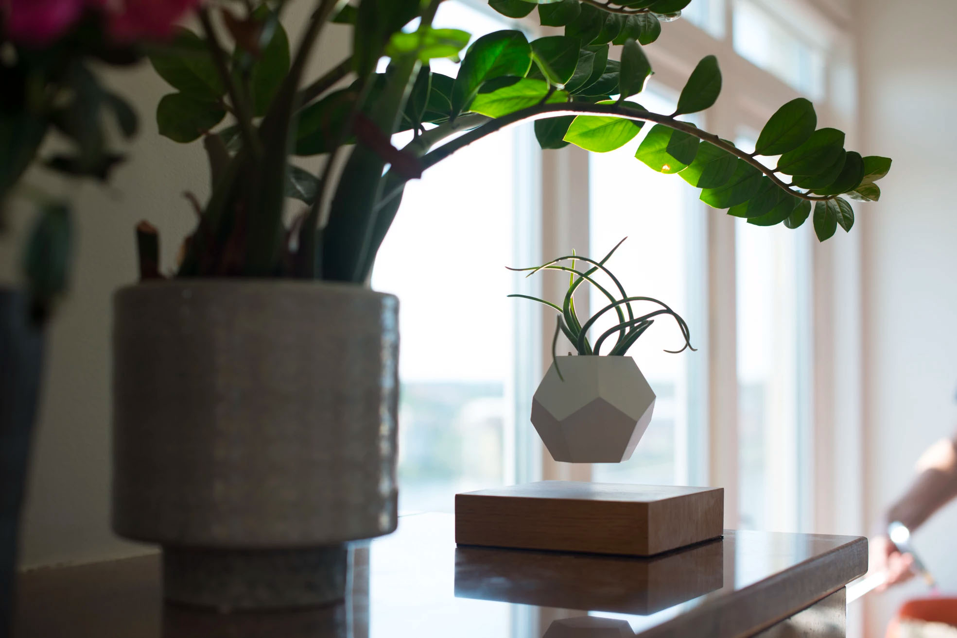 Lyfe Planter by Flyte