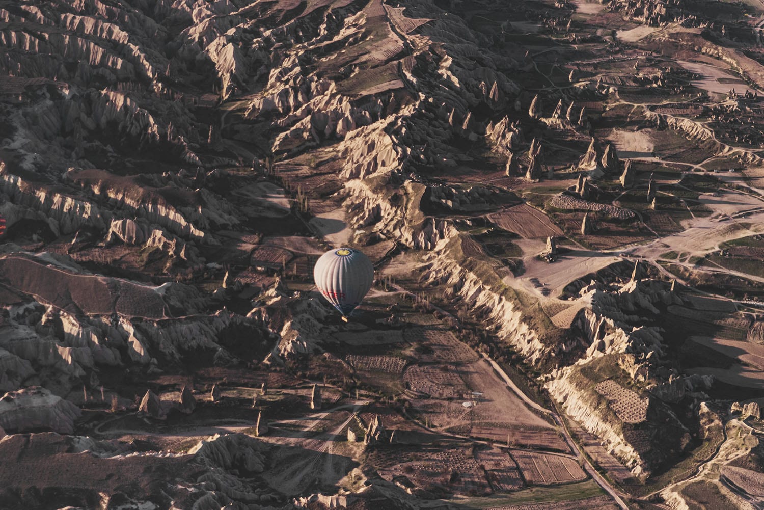 Hot air balloon flying over Cappadocia's beautiful landscape