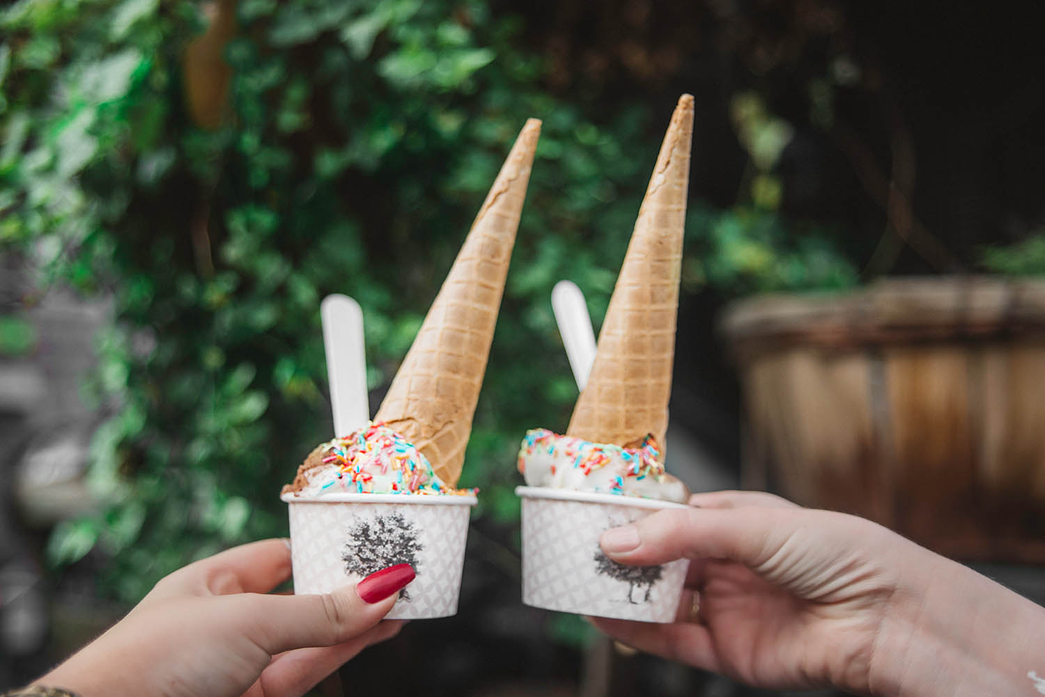 Danish Ice Cream at Ground Control, Paris