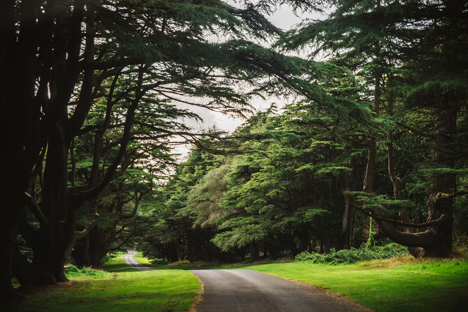 Tollymore Forest Park - Game of Thrones Filming Location in Northern Ireland