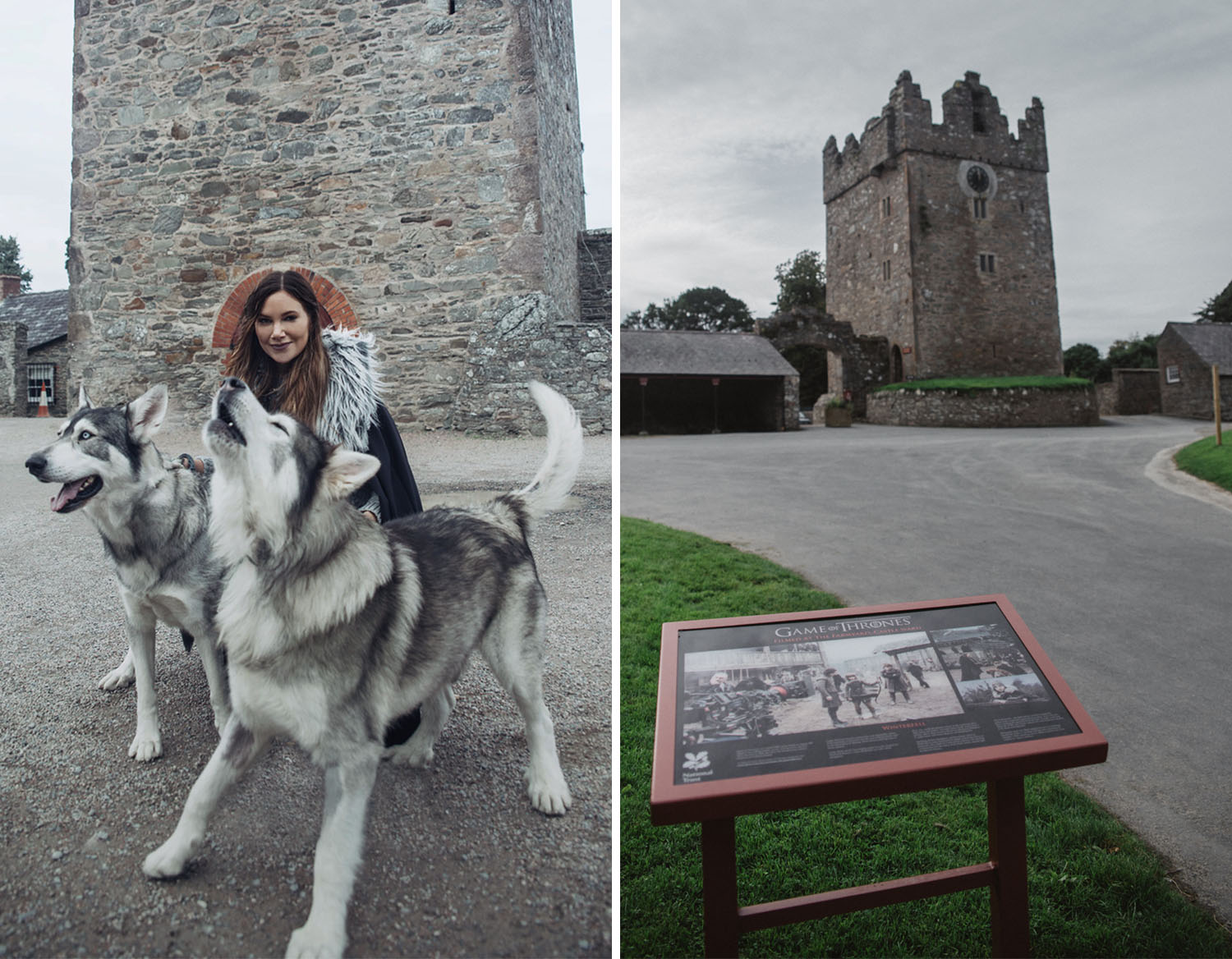 Meet the direwolves in Winterfell - Castle Ward