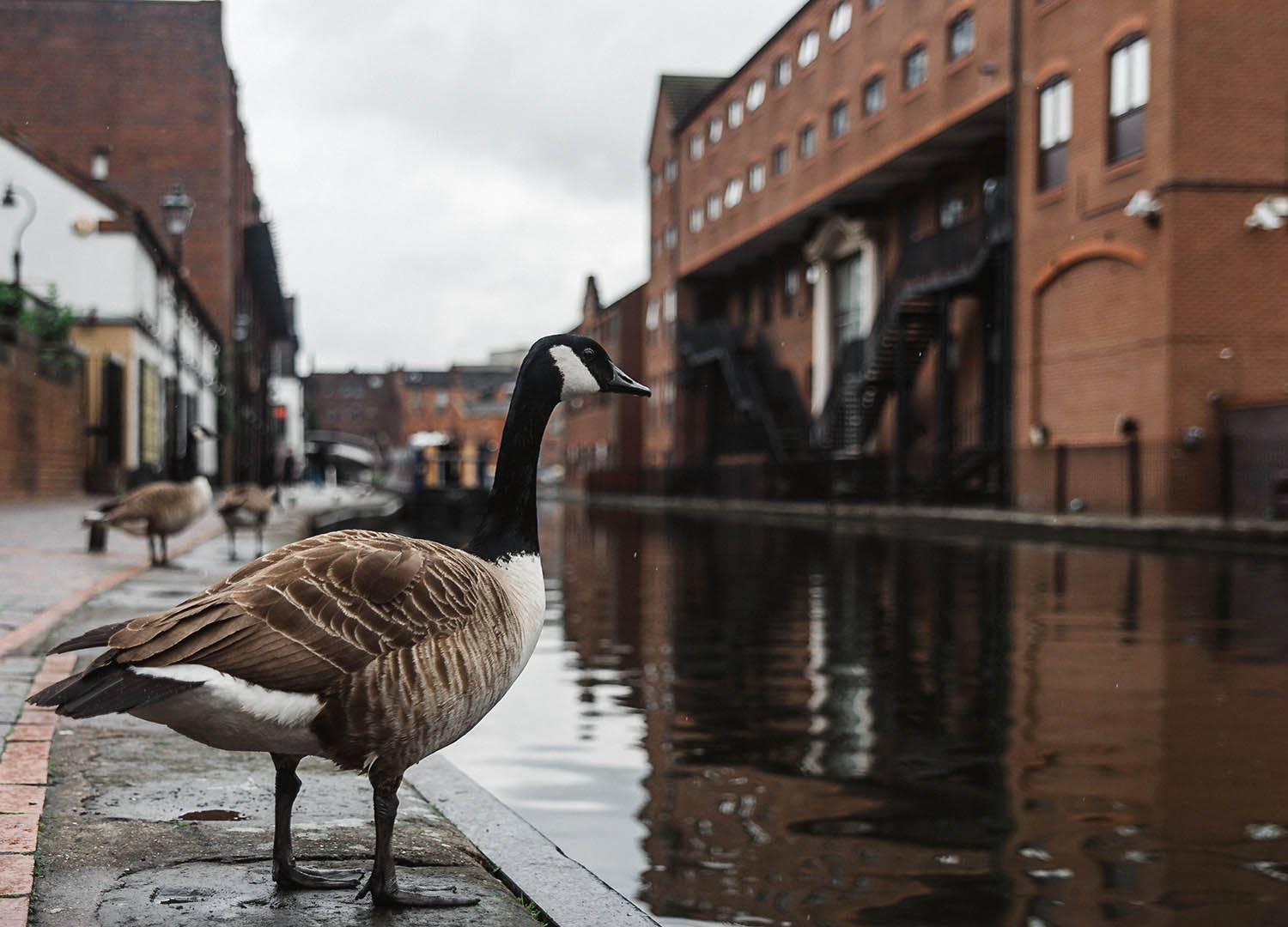 Canal in Birmingham