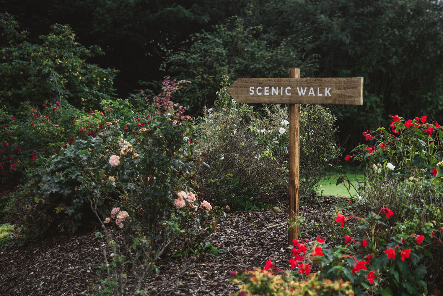 Scenic Walk by the Gracehill House, near the Dark Hedges in Northern Ireland