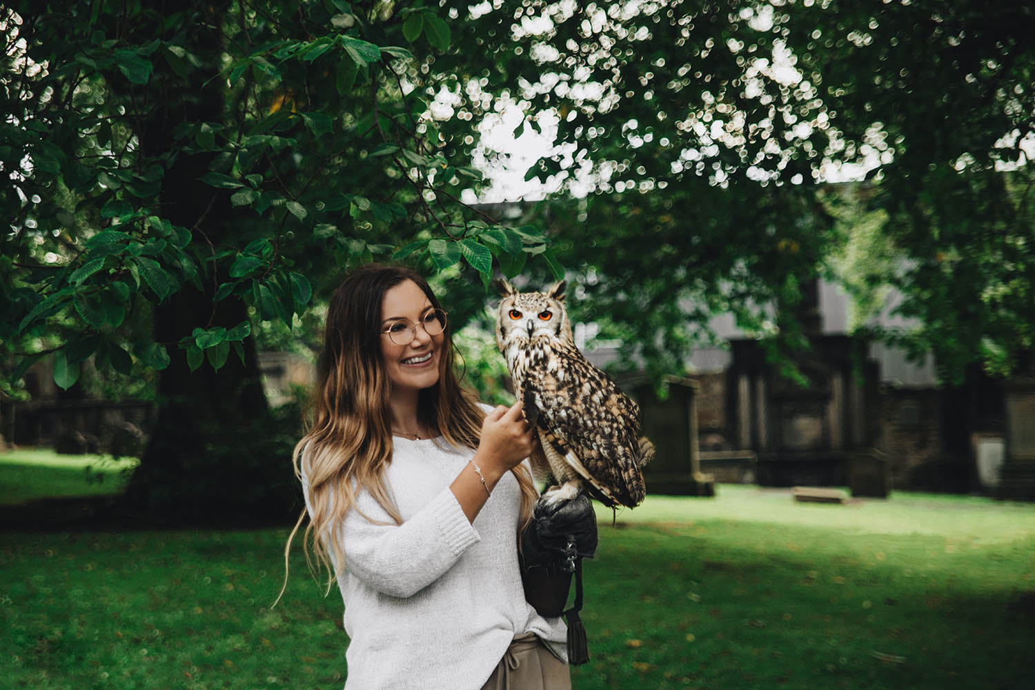 Owl flying at Greyfriars Kirkyard in Edinburgh