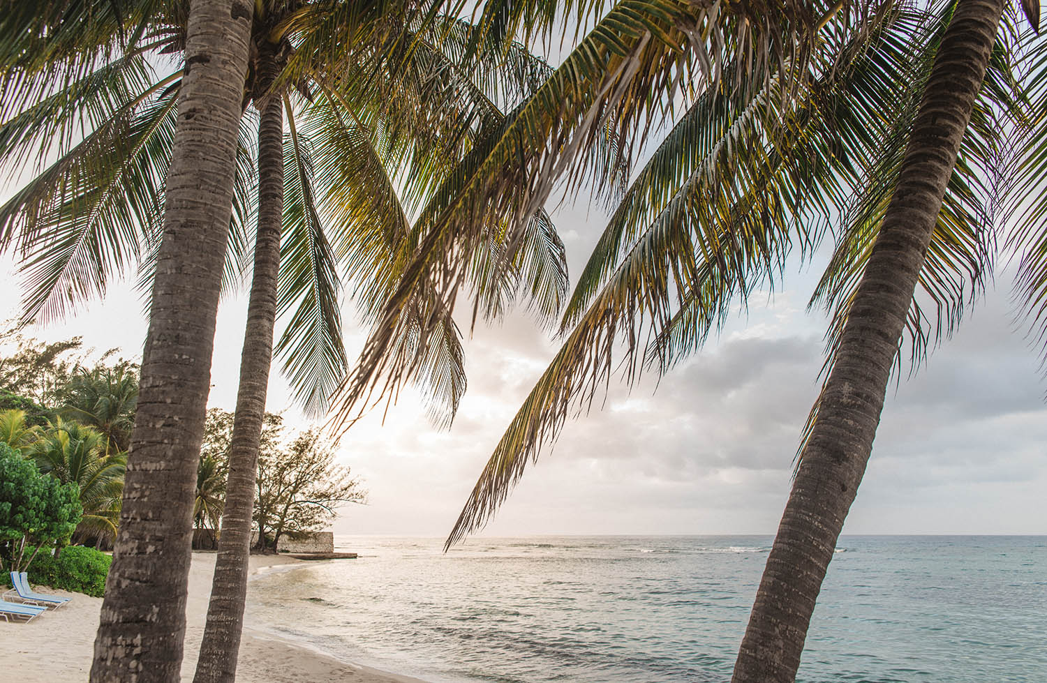 Beach Sunset at Half Moon Luxury Resort, Montego Bay