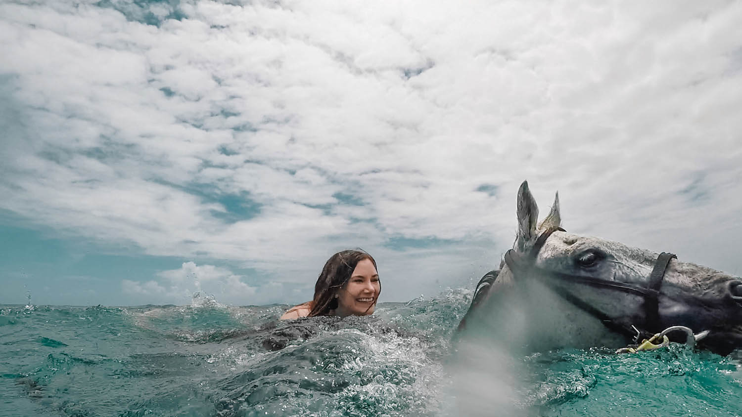 Adaras swimming with horses in Jamaica