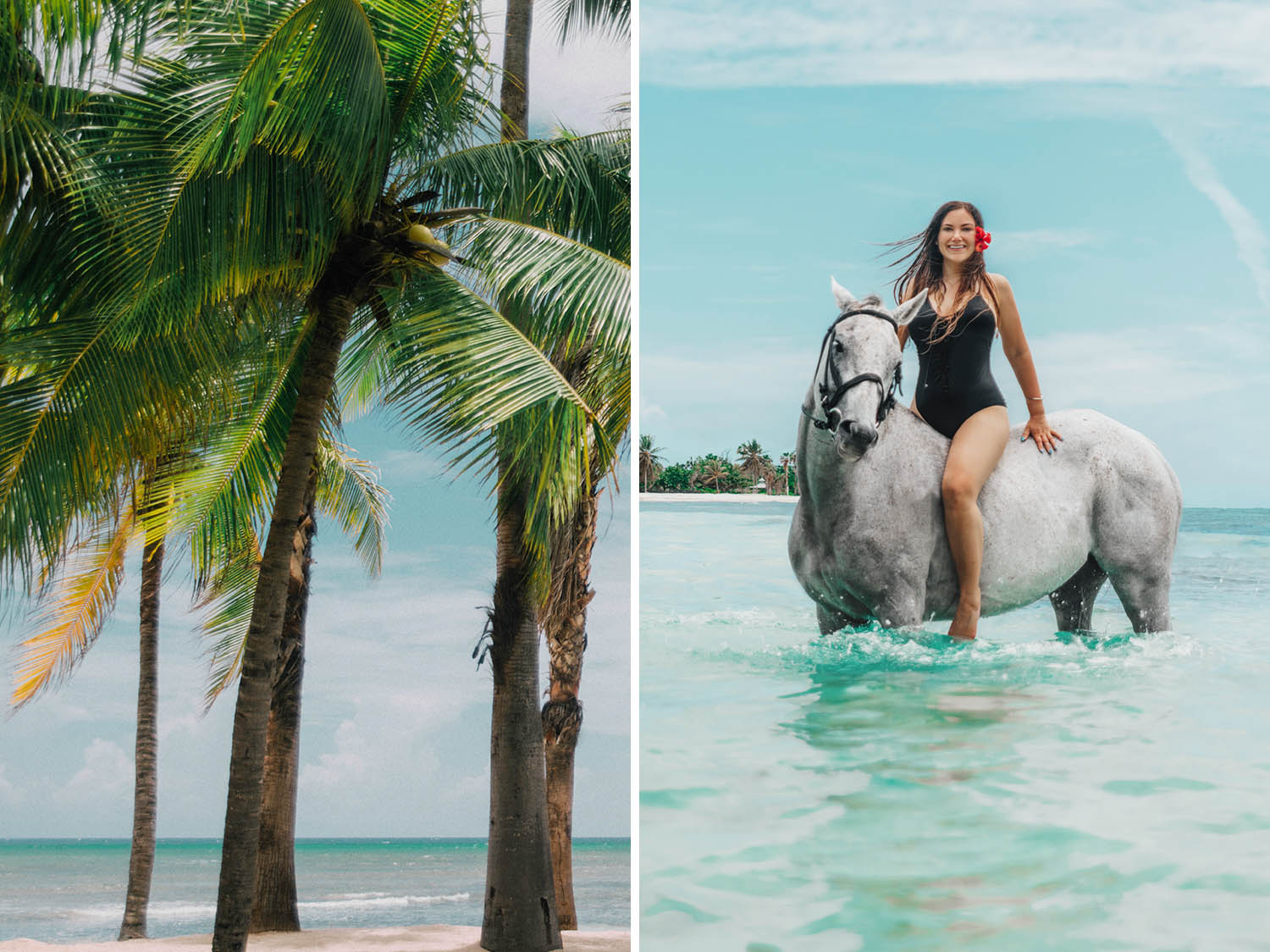 Adaras with horse in water, in Montego Bay, Jamaica