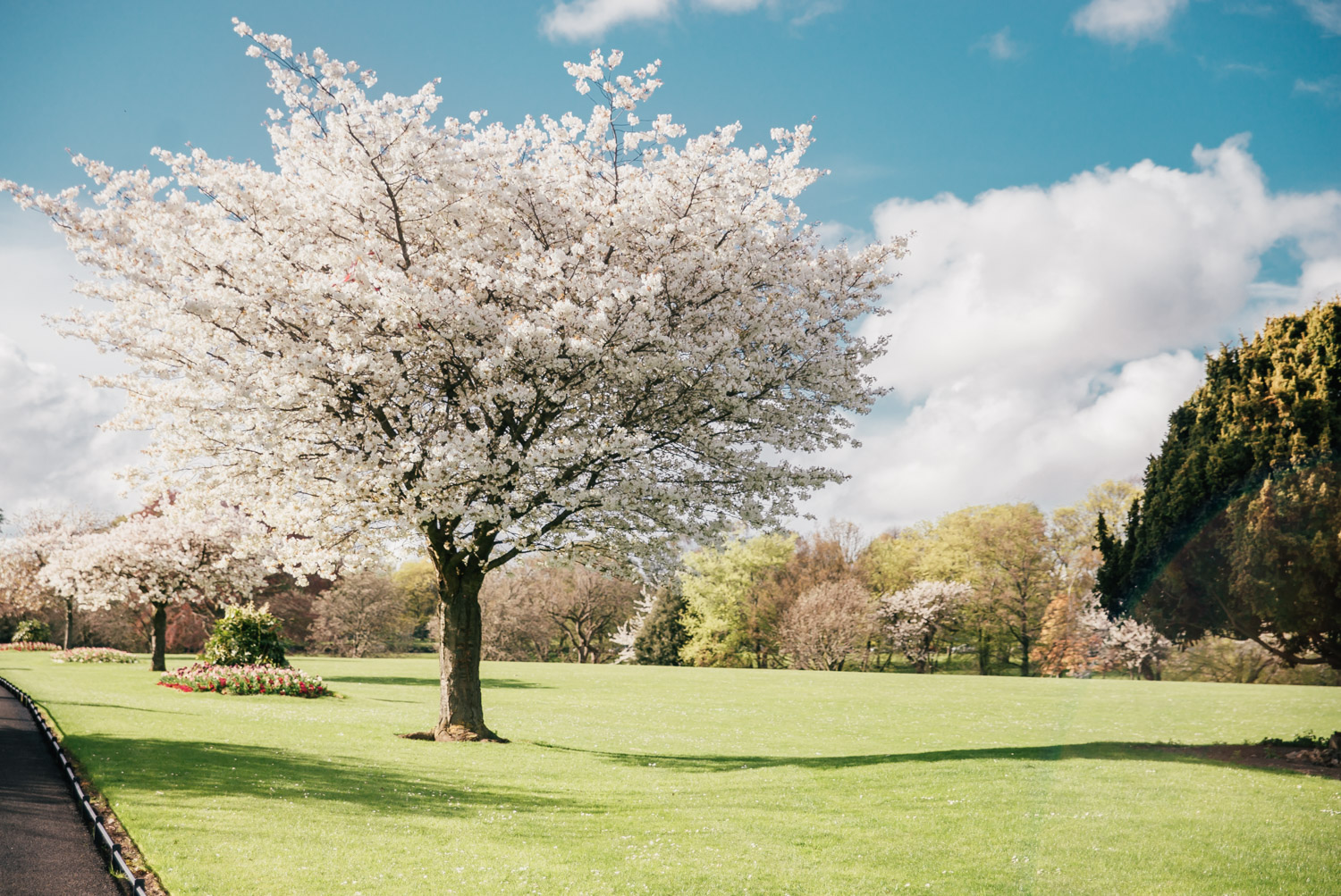 Phoenix Park: The Best Instagram Places in Dublin, Ireland