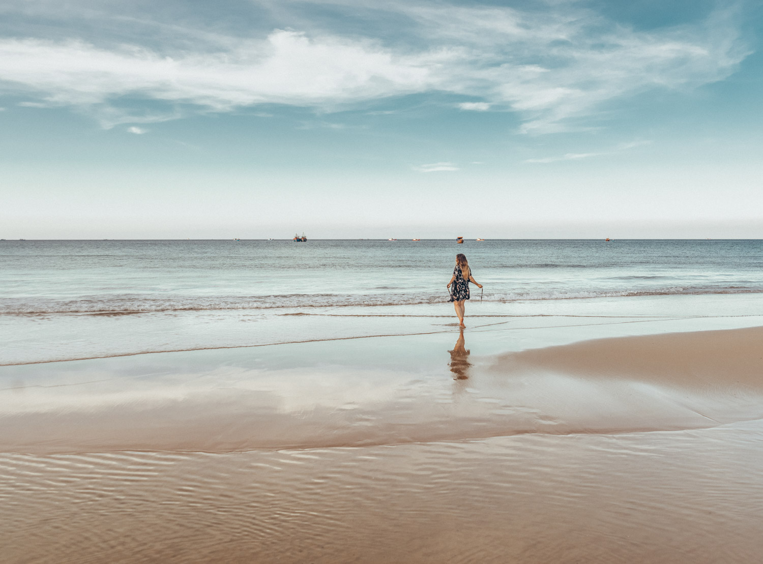 Adaras alone on Mon Beach in Phu Yen, Vietnam