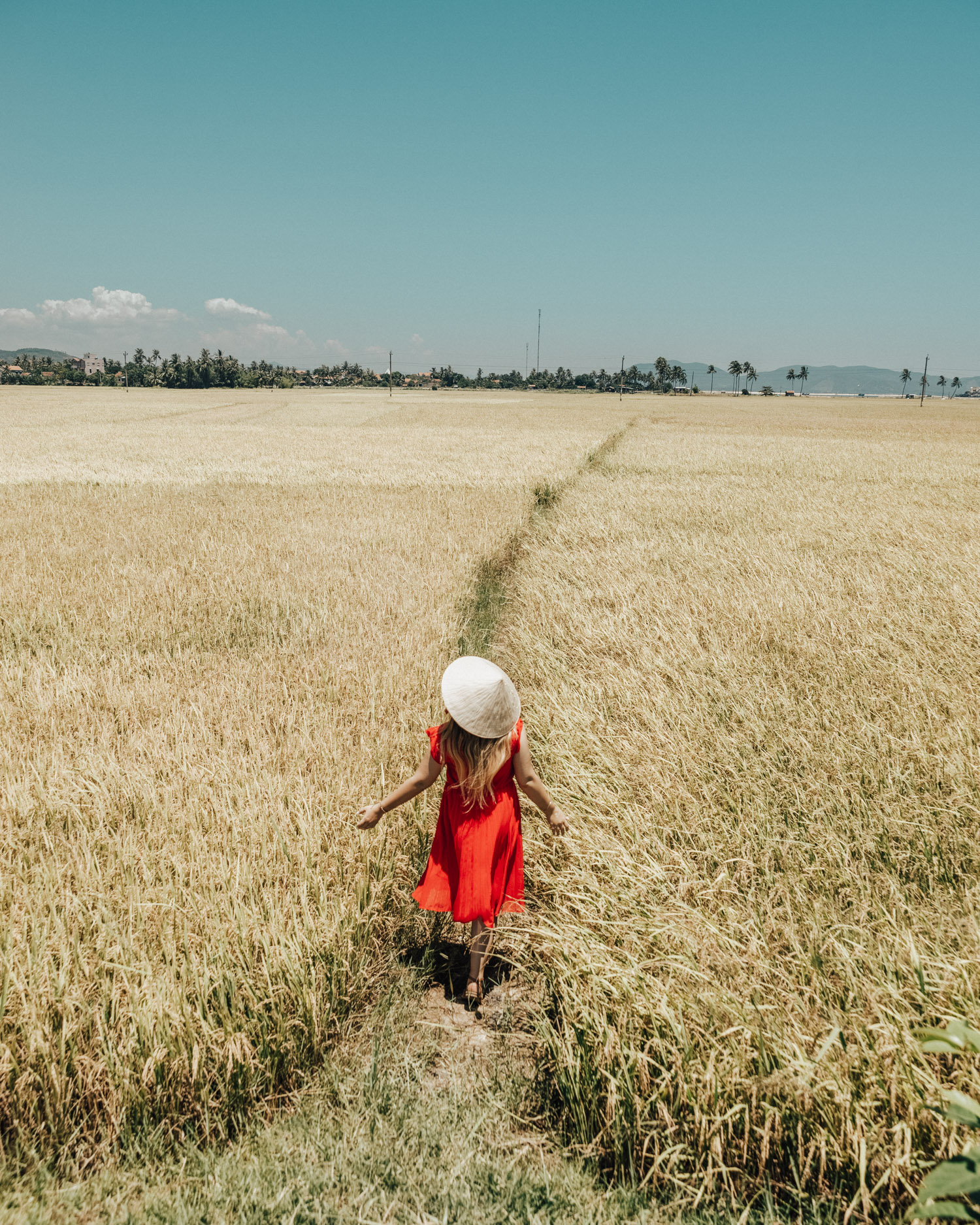 Phu Yen, Girl in red dress walking on path through wheat field in Vietnam