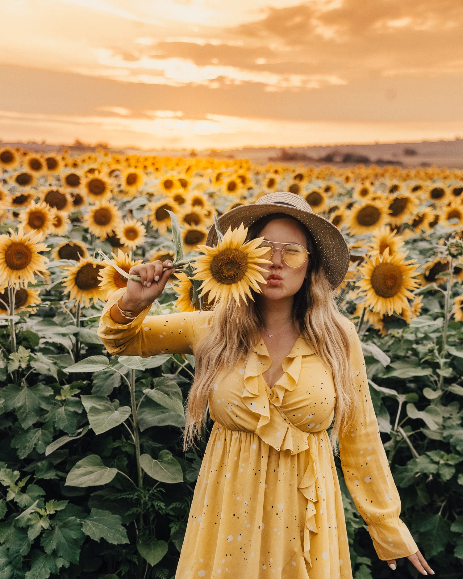 Sunflower field in Karanac | Things to Do in Slavonia, Croatia 