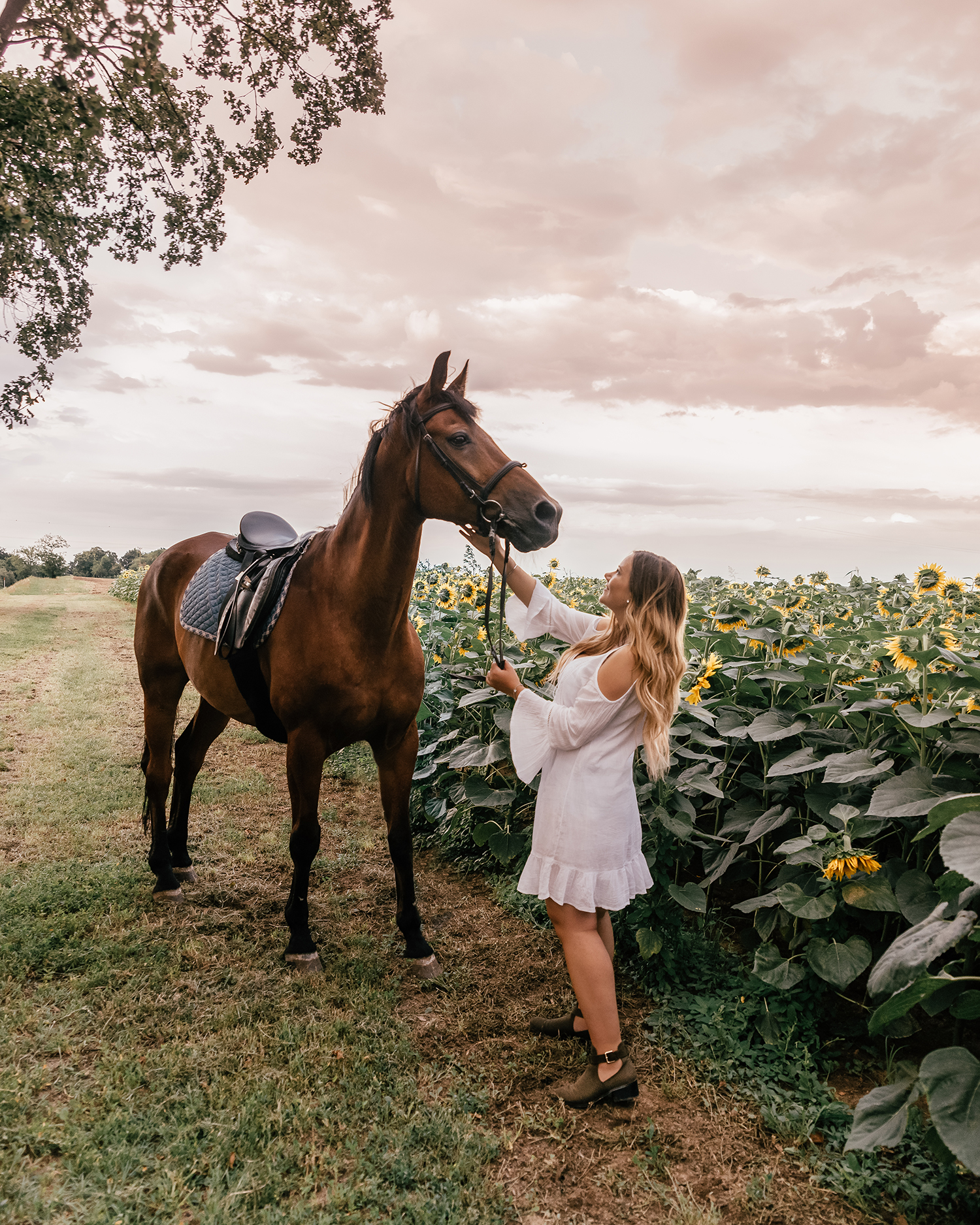 Horseback riding at Konjički Klub Eohippus | Things to Do in Slavonia, Croatia