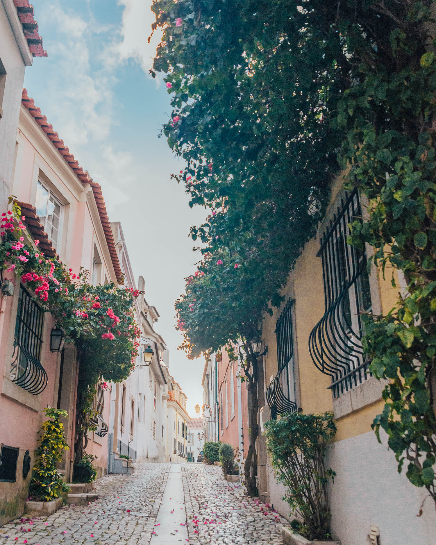 Colorful Street in Cascais Old Town