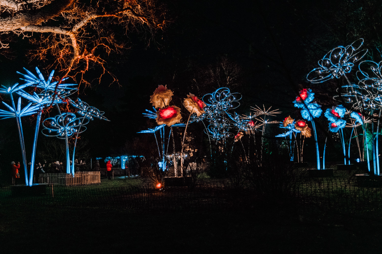 Christmas at Kew | Kew - Kew Gardens