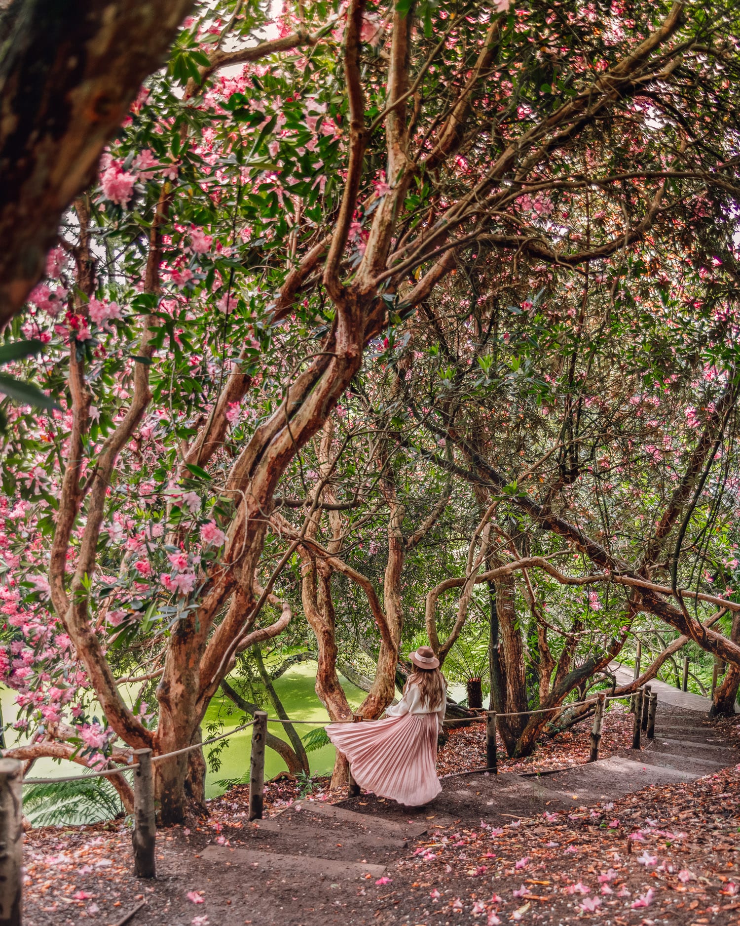 The Jungle at Lost Gardens of Heligan | Most Instagrammable Places in Cornwall, England, UK