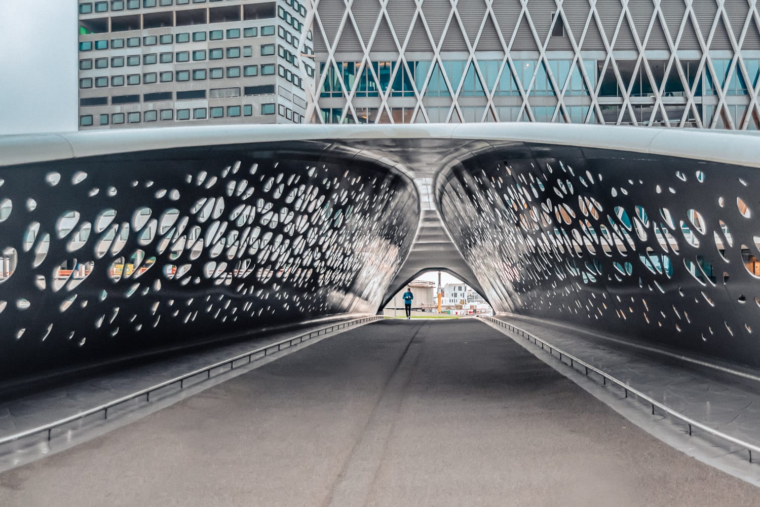 Park Spoor Noord Bridge, Antwerp, Blegium