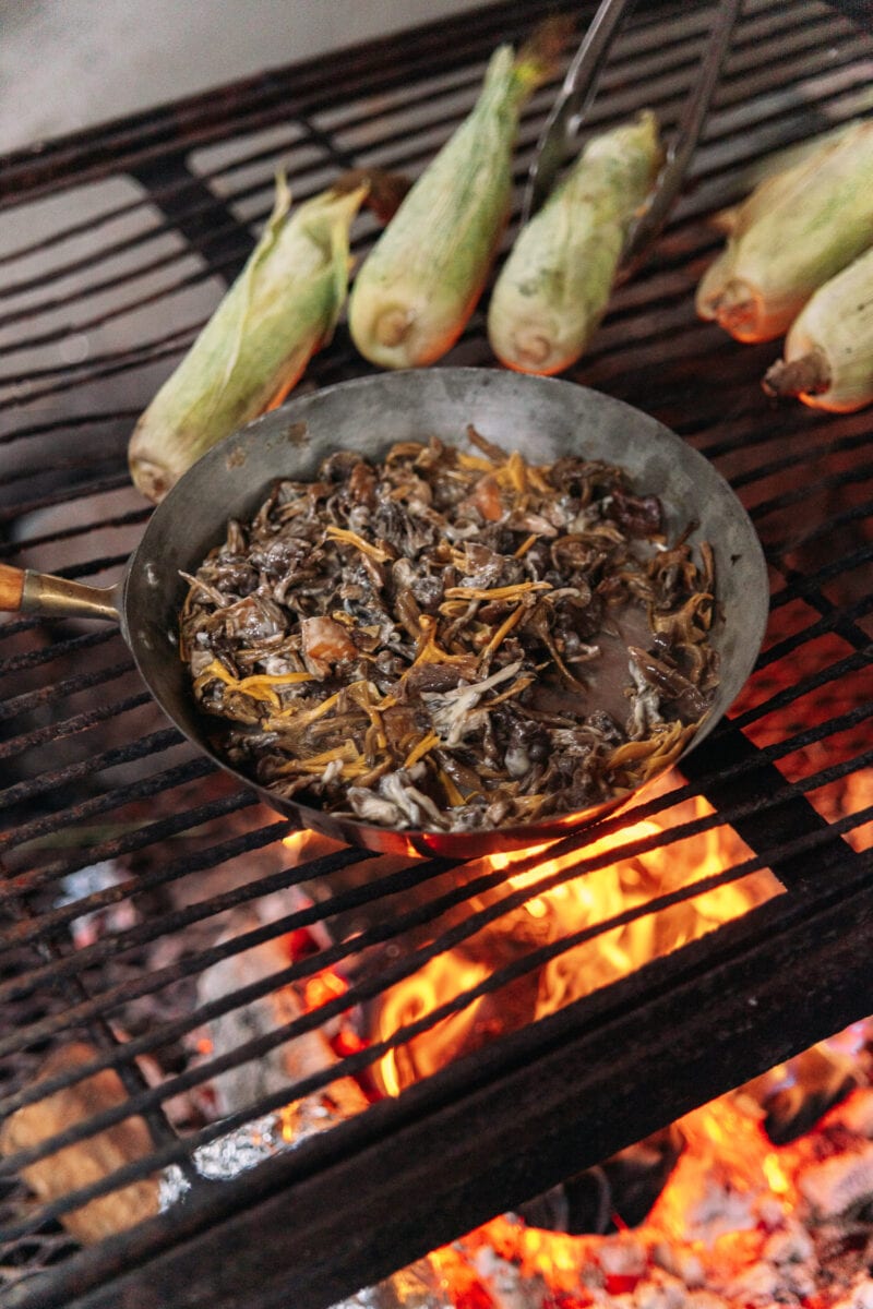 
Fresh chanterelles and corn are cooked over an open fire, Örebro.