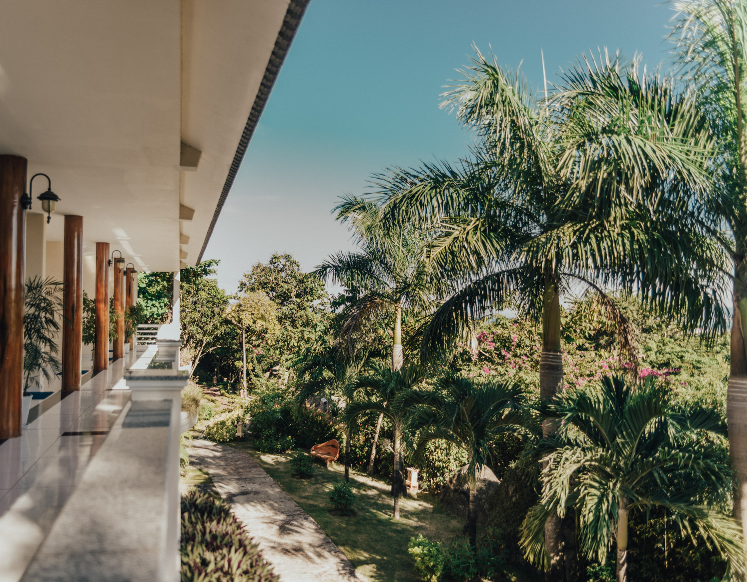 Palm Trees at Vietstar Resort & Spa, Phu Yen
