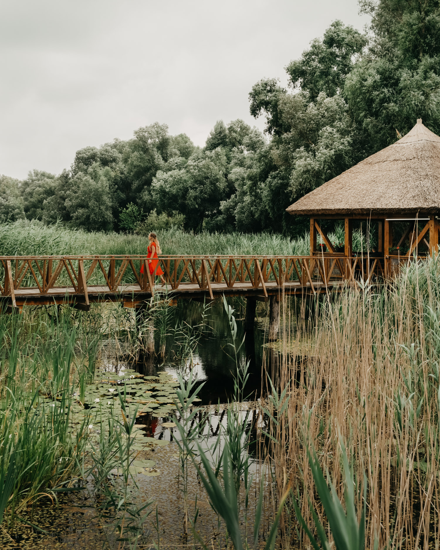 Naturparken Kopački Rit i Kopačevo, Kroatien