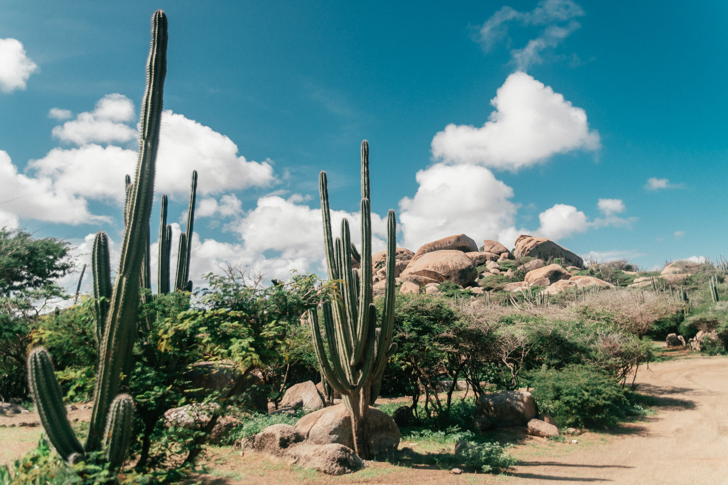 Arikok National Park | Saker att göra på Aruba