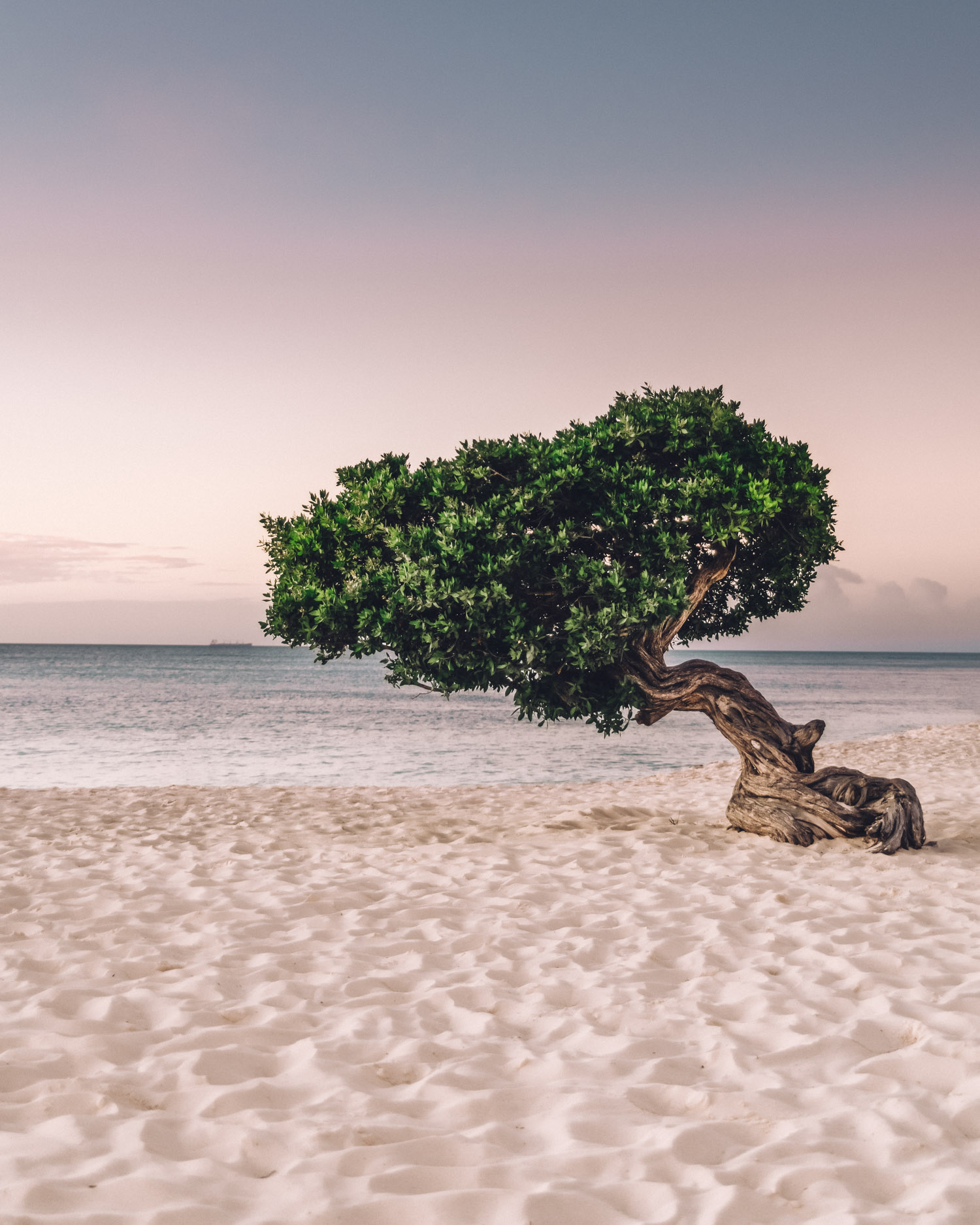 Solnedgång från Eagle Beach, Aruba