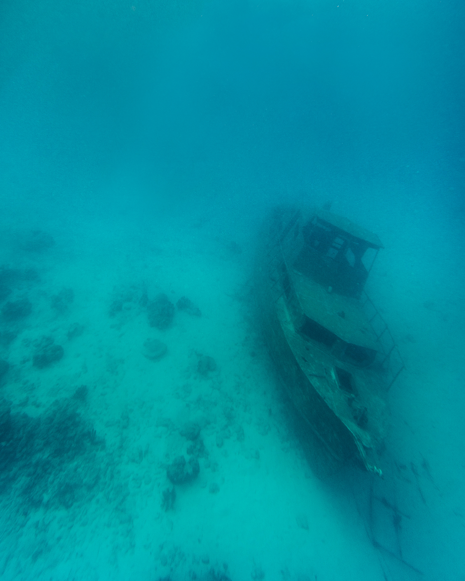 Dykning på Aruba - Antilla Wreck