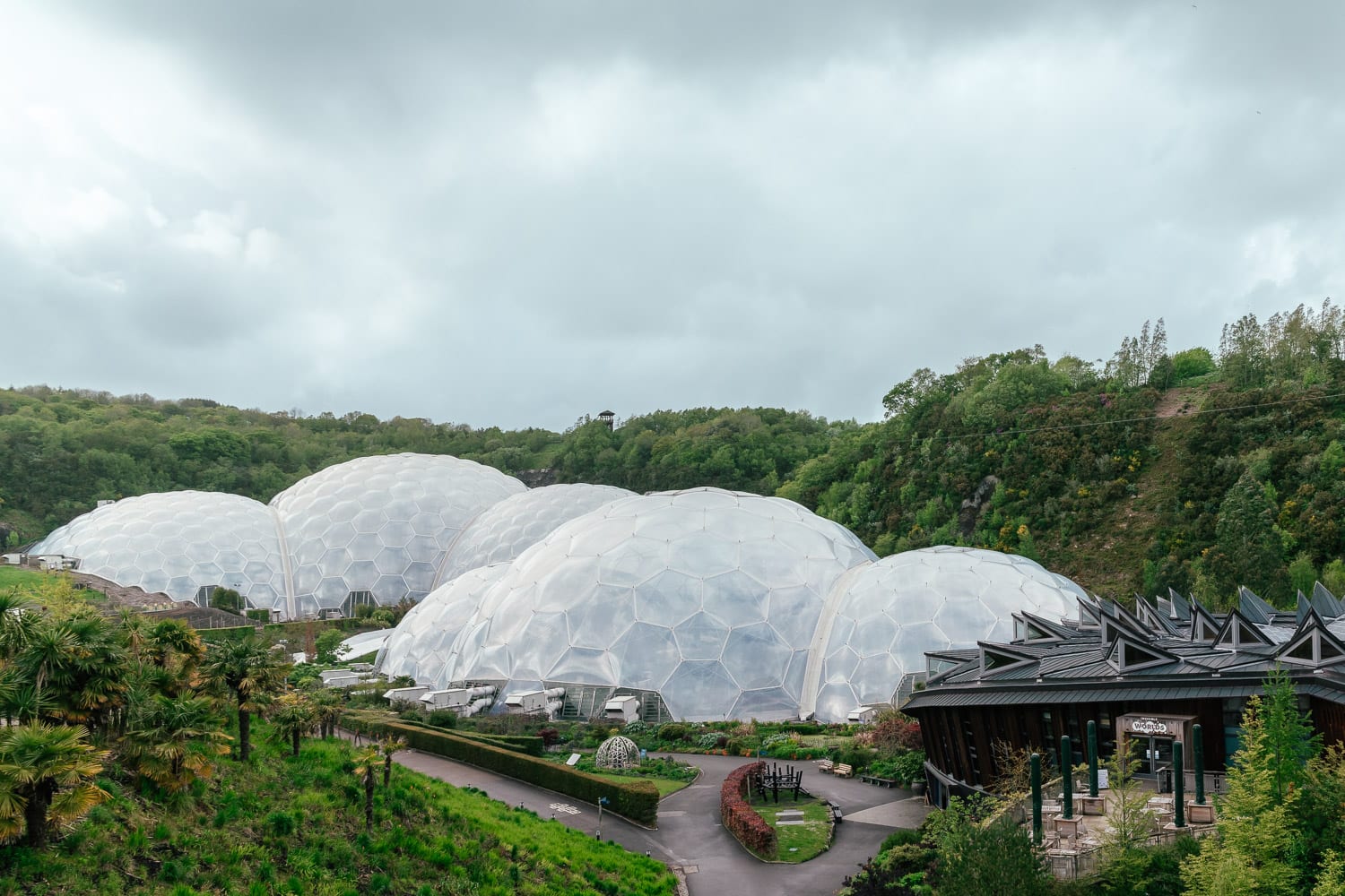 Eden Project | Attractions in Cornwall, England, UK