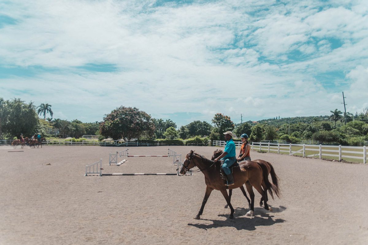 Swimming with horses in Jamaica • ADARAS Blogazine