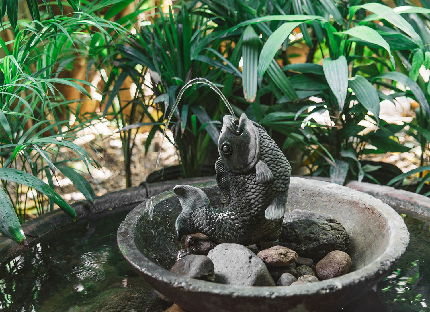 Fish fountain at Rockhouse