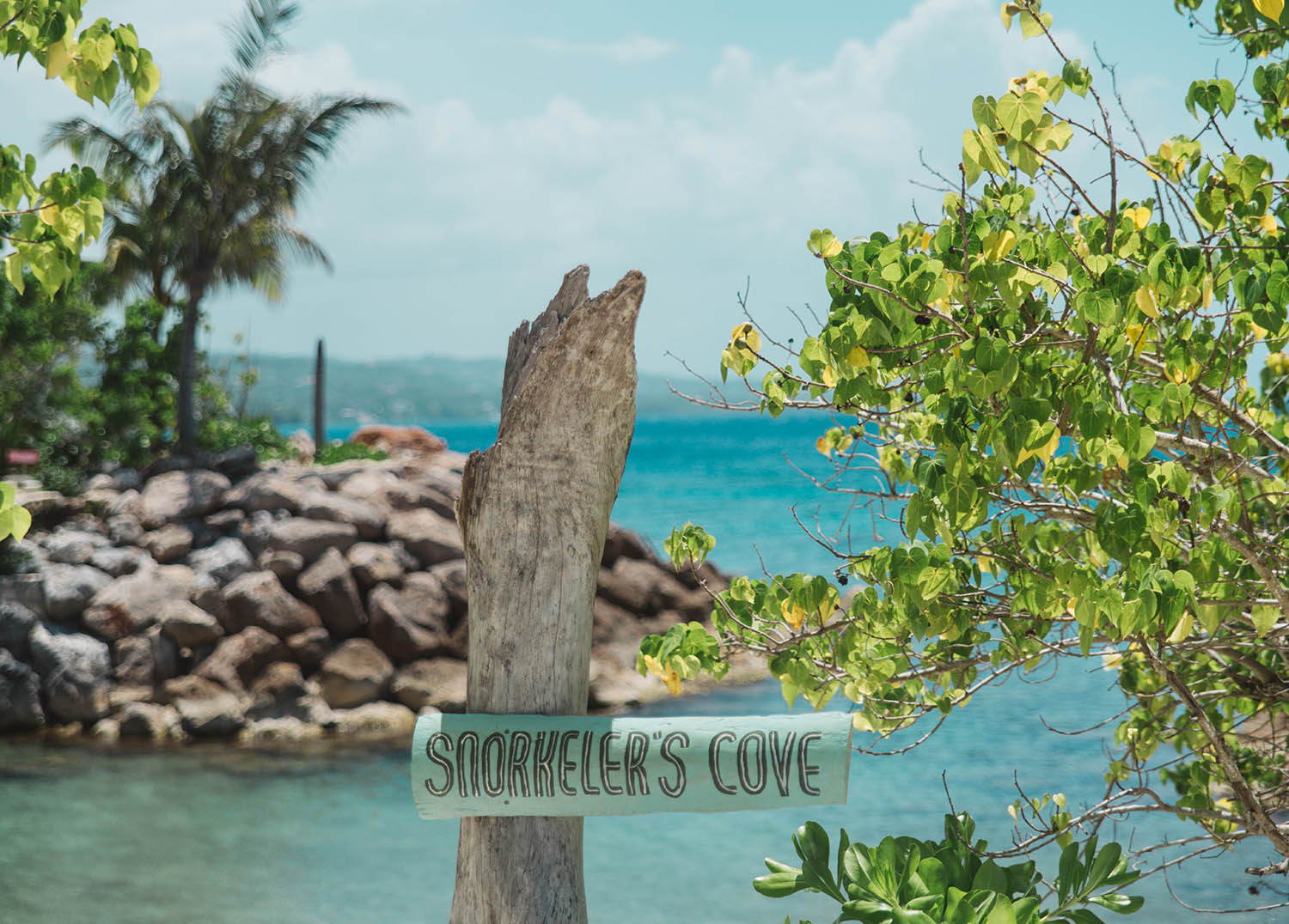 Snorkeler's Cove in Jamaica