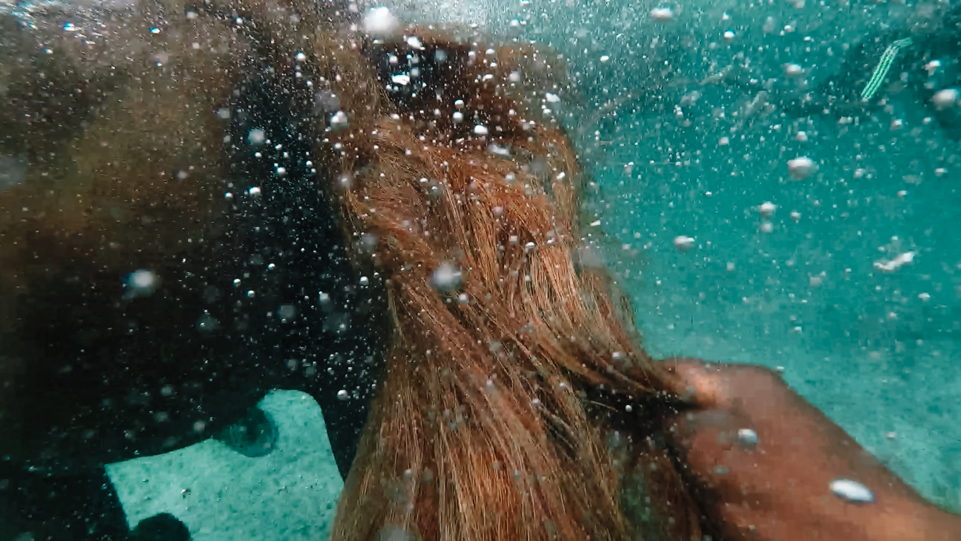 Swimming with horses - Underwater photo with GoPro Hero 6