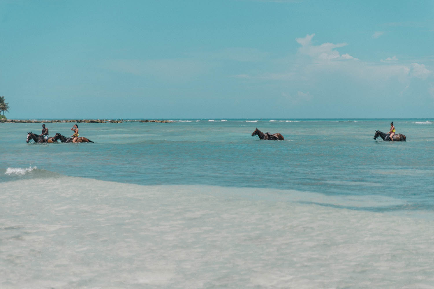 Swimming with horses at Half Moon Resort in Jamaica