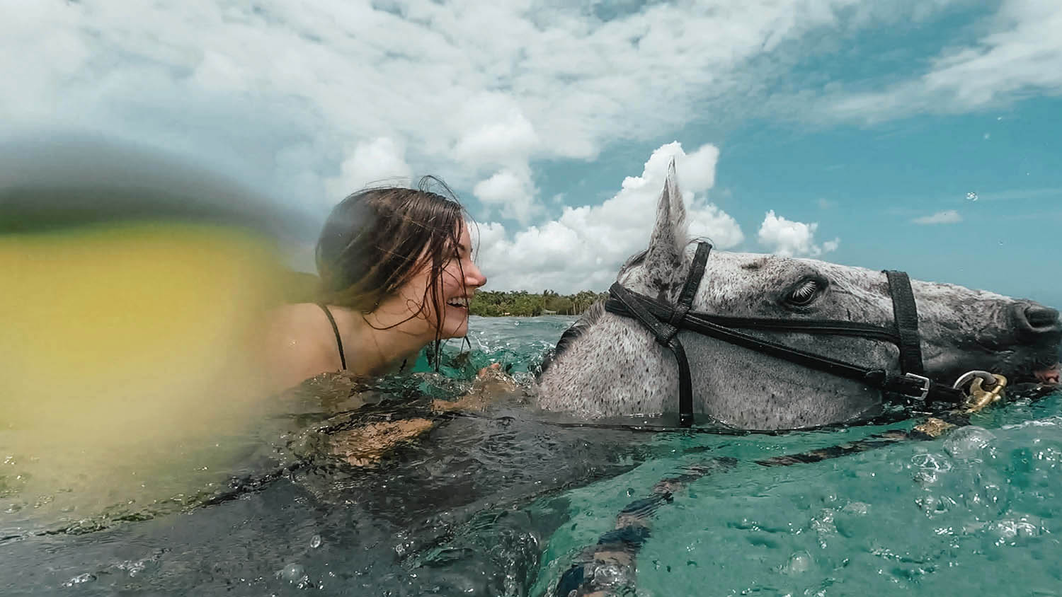 Adaras swimming with horses in Jamaica, Half Moon Resort