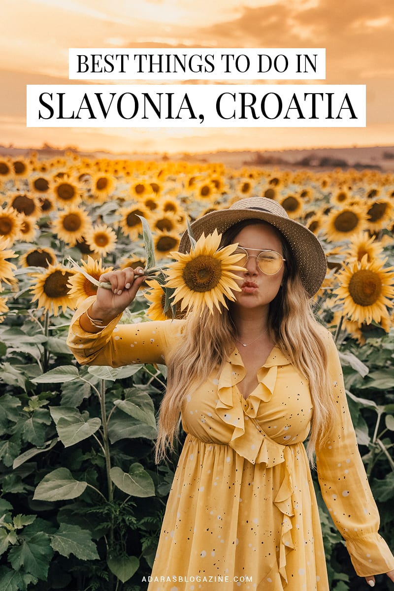 Best Things to Do in Slavonia, Croatia | Travel Guide