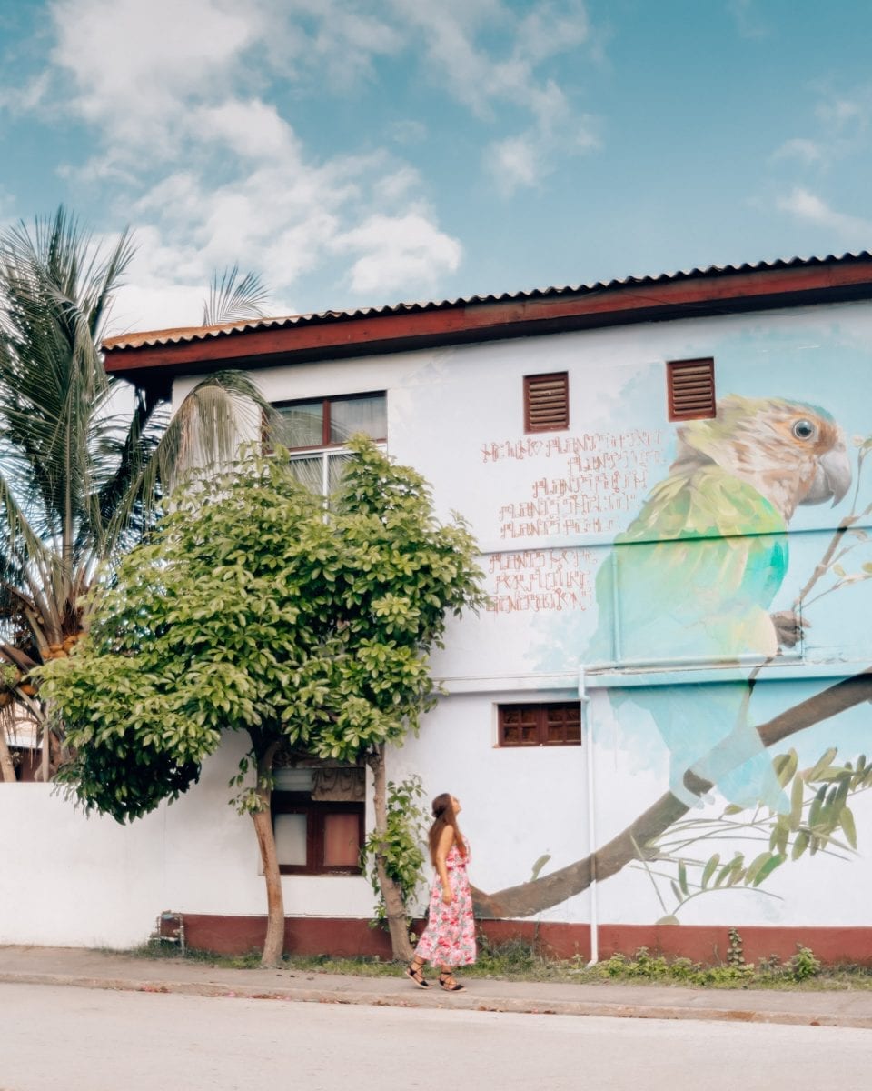 Street Art in San Nicolas | Things to do in Aruba