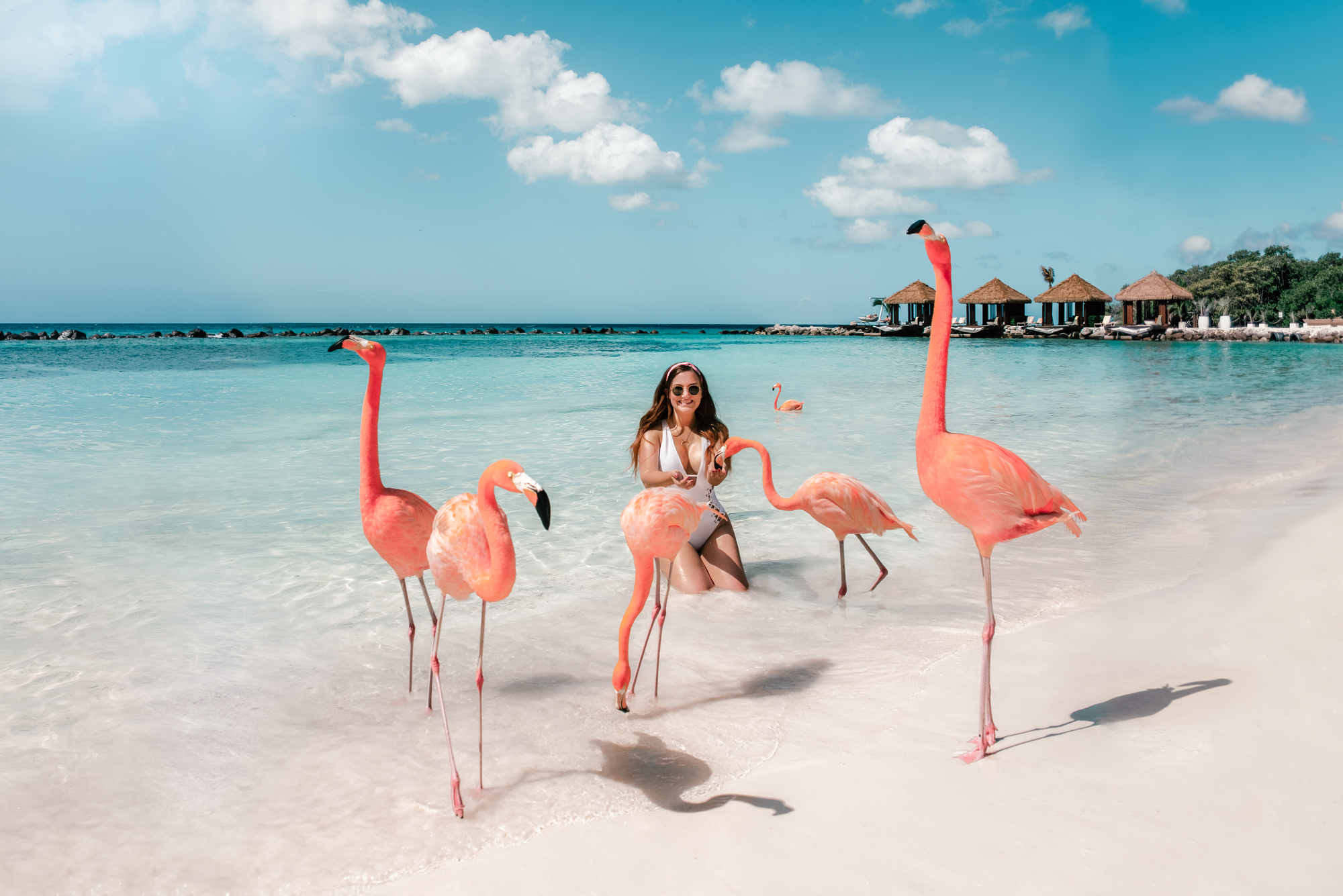 elite travel aruba