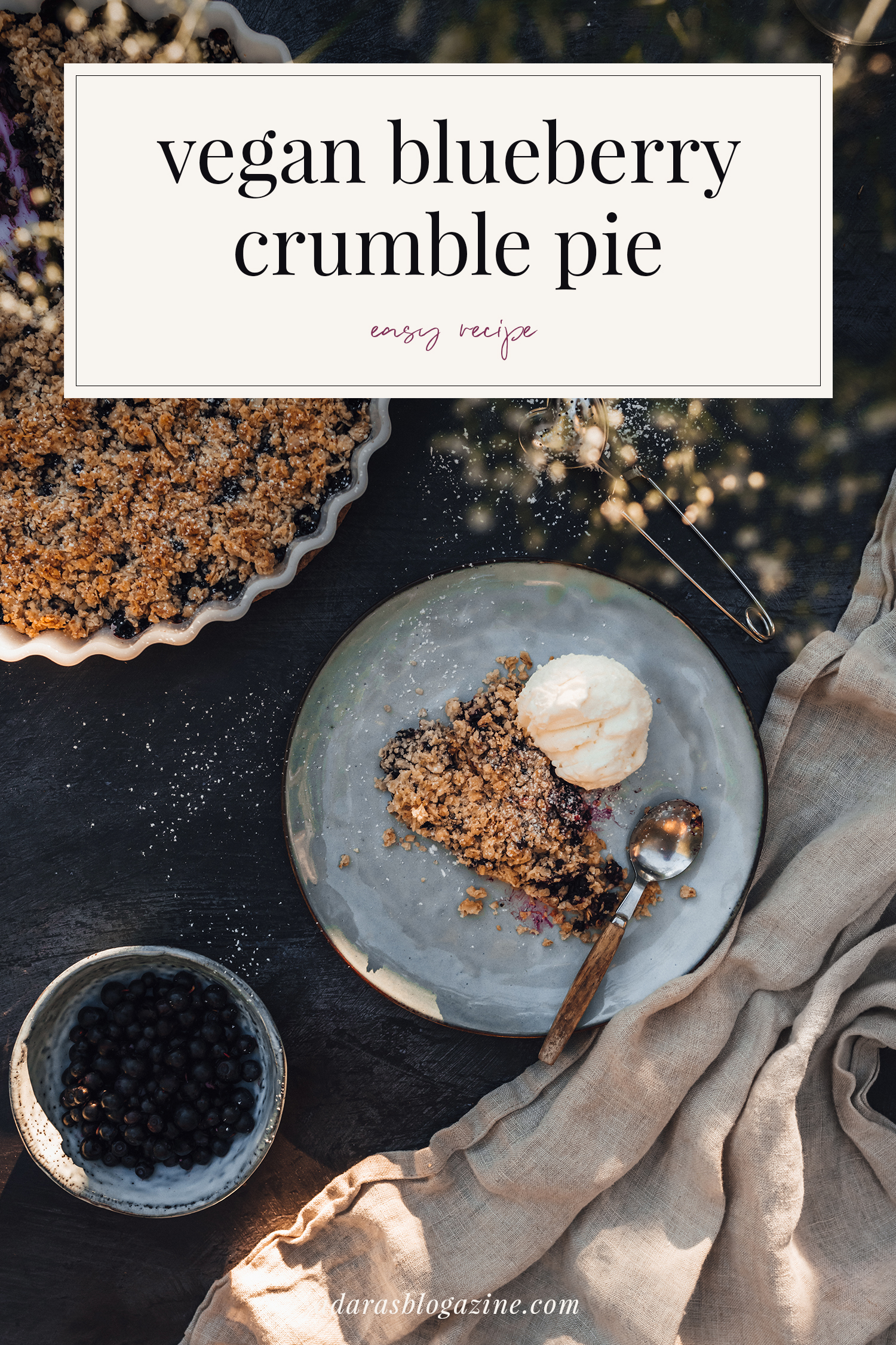 Swedish Blueberry Crumble Pie - Easy Vegan Recipe