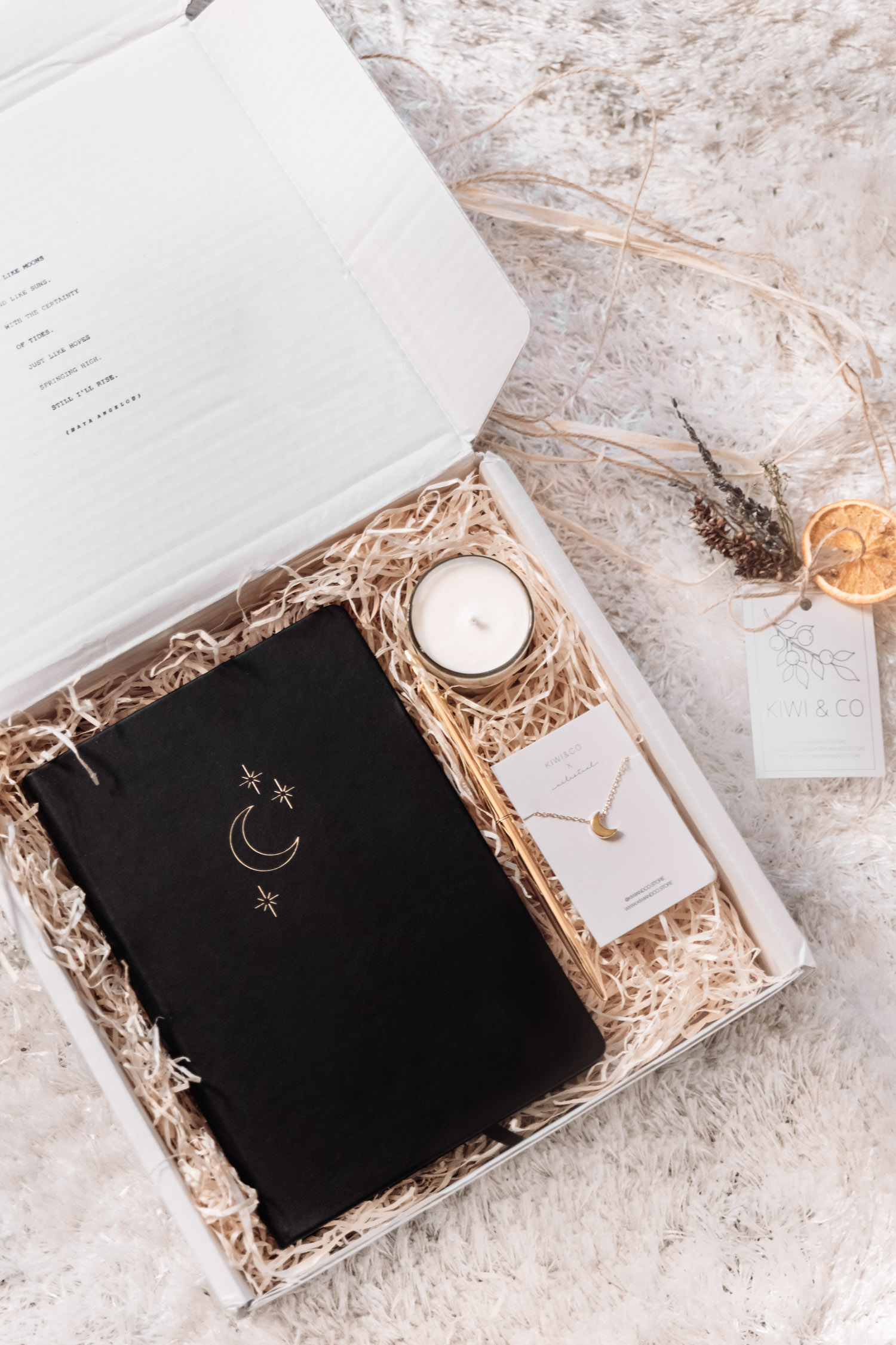 Vegan Gift Box with Moon Bullet Journal from Kiwi & Co